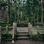 一族を発展させるなら