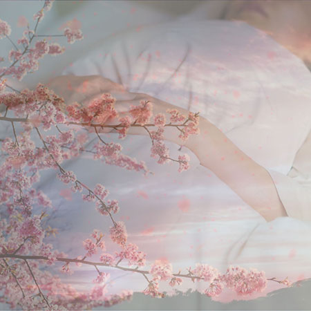 自分で行うDIY弔いの方法