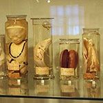 手間も費用も一切かけない方法