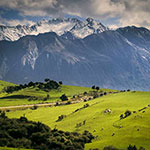 ニュージーランドの散骨