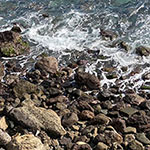 海岸で散骨する