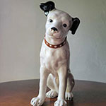 ペットを火葬してから弔う方法