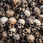 身寄りのない生活保護者の遺骨