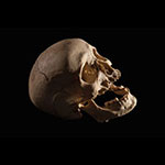 遺骨の所有権は誰のもの？