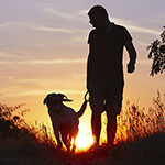 同じ墓に人間とペット