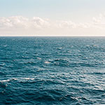 散骨に関する調査