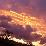 散骨された著名人